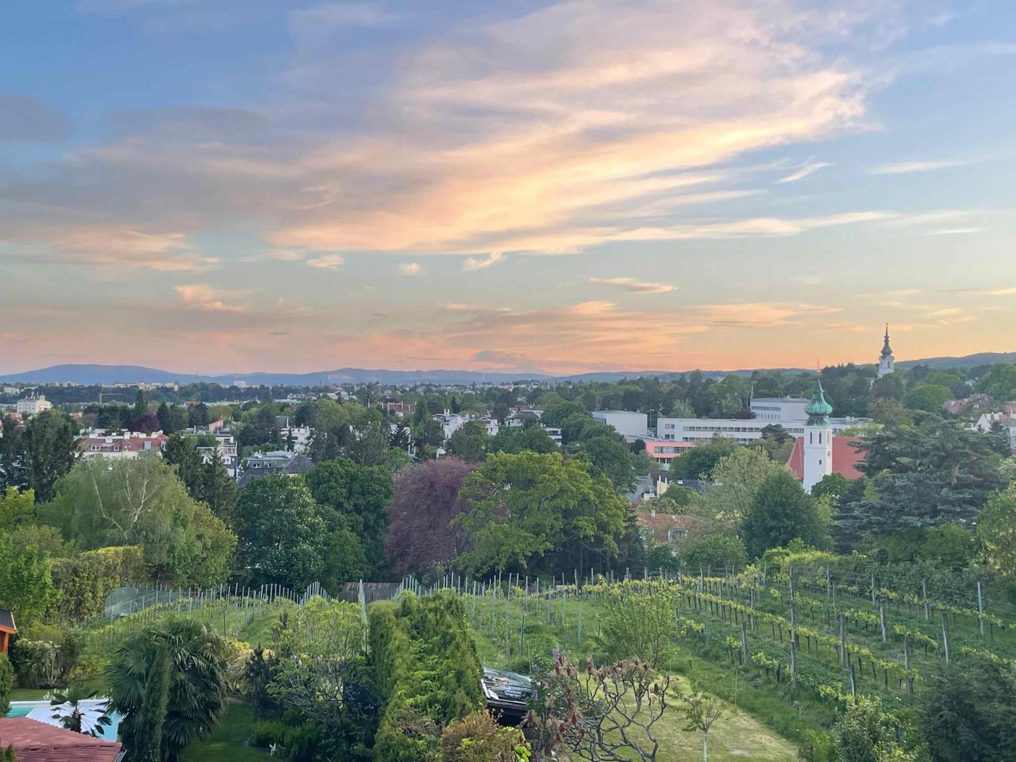 Herrlicher Ausblick Ueber Wien Luaran gambar