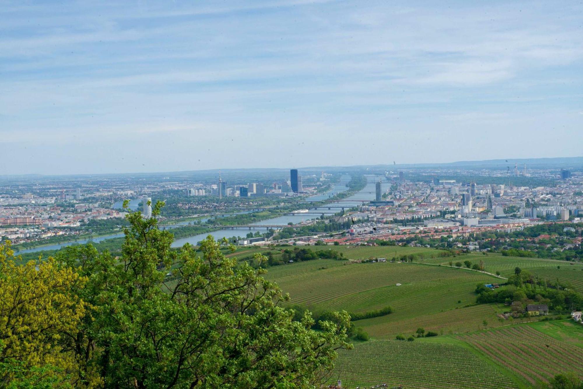 Herrlicher Ausblick Ueber Wien Luaran gambar