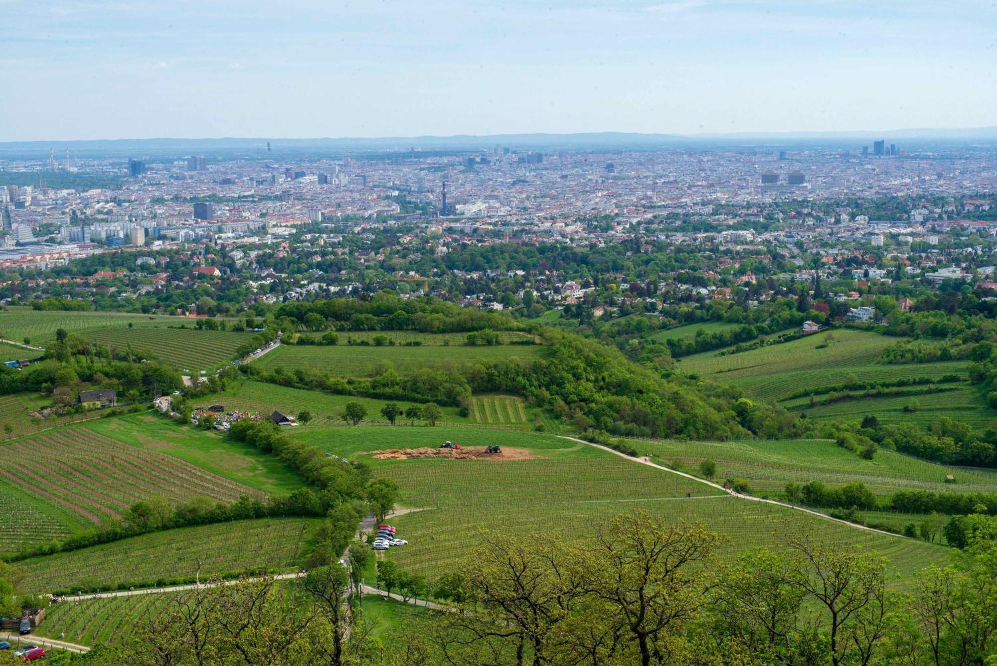Herrlicher Ausblick Ueber Wien Luaran gambar